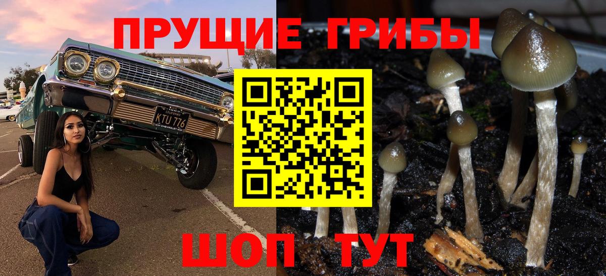 Галлюциногенные грибы Psilocybe  Вход с VPN  Кумертау 